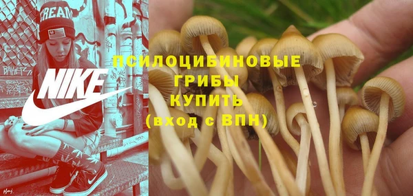 не бодяженный Абинск
