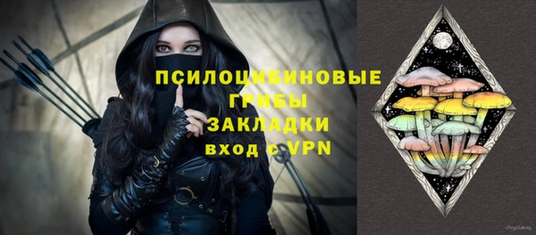 apvp Покачи